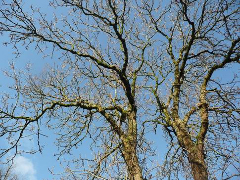 Resize_of_noordhornzuidhorn16112007_001 Resize_of_noordhornzuidhorn16112007_001