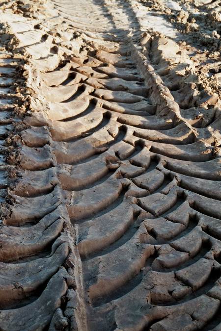 Resize_of_imm016_16a