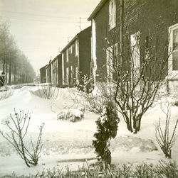 Resize_of_sneeuwmidwoldaniesoordl_2