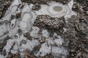 Resize_of_paasijs_3_maart_2008