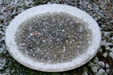 Resize_of_bevroren_waterbak_met_lic