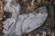 Resize_of_paasijs_8_maart_2008