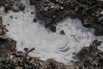 Resize_of_paasijs_5_maart_2008