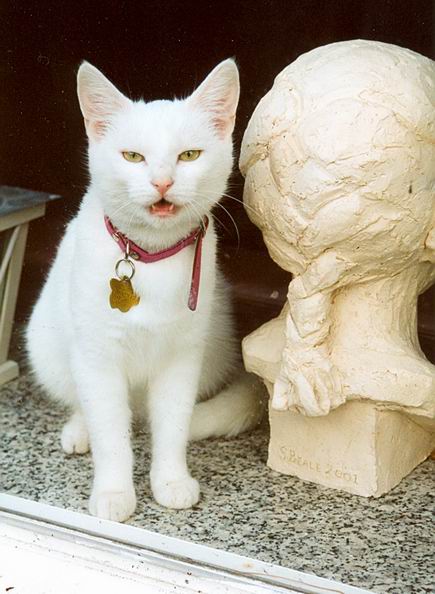 Resize_of_poesachterglas2002