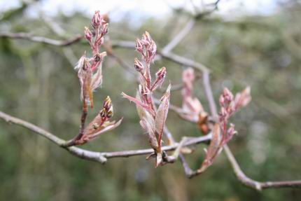 Resize_of_20080825_0450