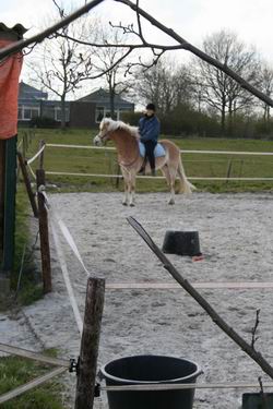 Resize_of_ruiter_met_paard_in_de_ba