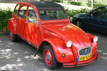 Resize_of_onbekende_eend_19052008