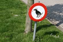 Resize_of_20080927_1444