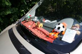 Resize_of_oranjegekte_07062008