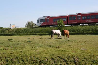 Resize_of_paarden_en_spurt_24052008