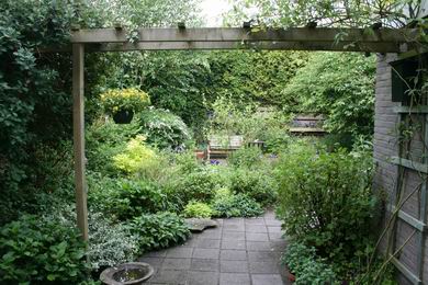 Resize_of_achtertuin_1855_01062008