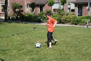 Resize_of_oranje_boven_8_07062008