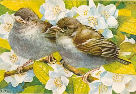 Resize_of_huismussen