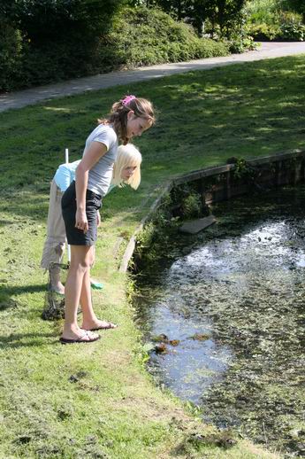 Resize_of_kikkers_vangen_borgweg__2