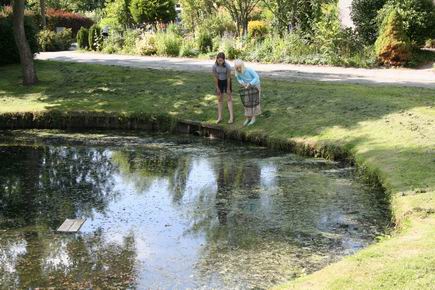 Resize_of_kikkers_vangen_borgweg_9_