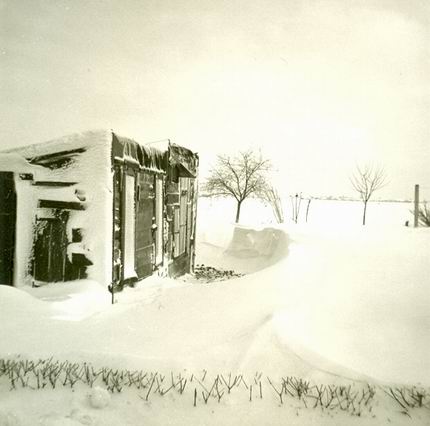 Resize_of_sneeuwmidwoldaniesoordlaa