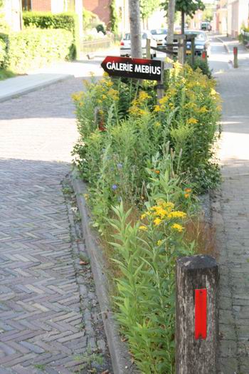 Resize_of_aptrootperk_bij_versmalli