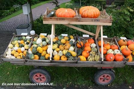 Resize_of_uitstalling_rijksstraatwe