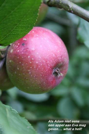 Resize_of_appel_hdew_tekst2