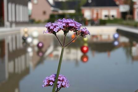 Resize_of_cultureel_centrum_13_0909