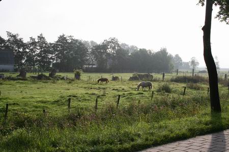 Resize_of_mooi_zuidhorn_oostrand_10
