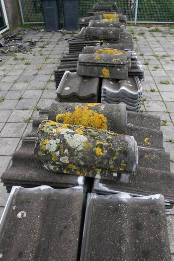 Resize_of_dakpannen_dorpsstee_4_030