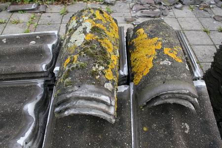 Resize_of_dakpannen_dorpsstee_03092