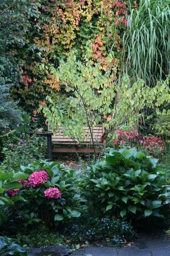 Resize_of_herfsttuin_03102008