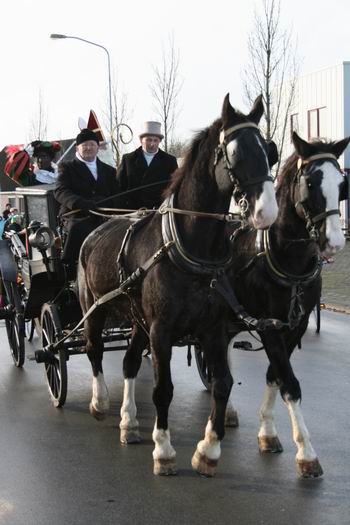 Resize_of_sint_in_n_113_22112008