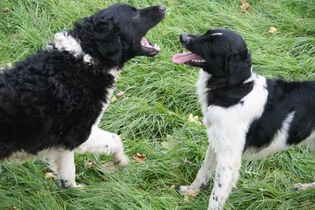 Resize_of_20081010_5061