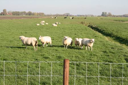 Resize_of_20081023_5657