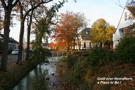 Resize_of_20081107_6215metengtekst