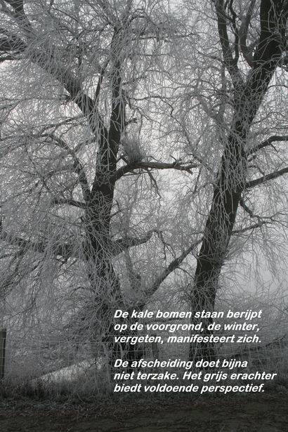 Resize_of_20081231_8159