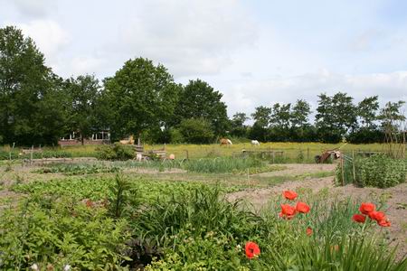 Resize_of_volkstuintjes_04062009