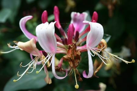 Resize_of_20090701_9999_3