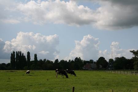 Resize_of_zuidkant_meidoornstraat_1