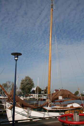 Resize_of_grou_77_haven_20102009