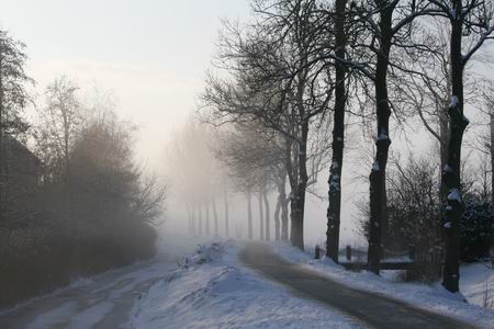 Resize_of_mokkenburg_9_03012010