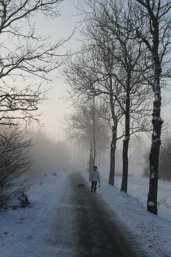 Resize_of_mokkenburg_4_03012010