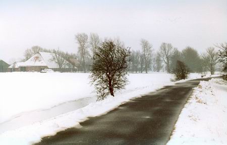 Resize_of_sneeuw_achterkant_hoeve_s
