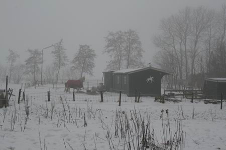 Resize_of_noordhorn_noord_4_1701201