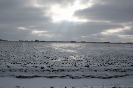 Resize_of_hogeland_8_11022010