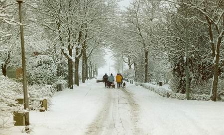 Resize_of_besneeuwdetouwslagersbaan