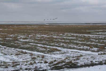 Resize_of_wadden_4_11022010