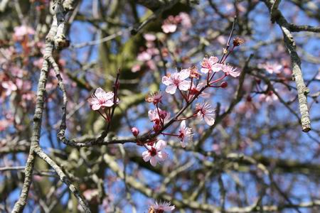 Resize_of_20080825_0500