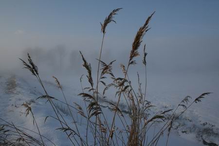 Resize_of_mokkenburg_22_03012010