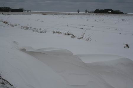 Resize_of_hogeland_3_11022010