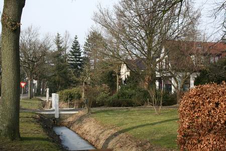 Resize_of_20100221_9999_22