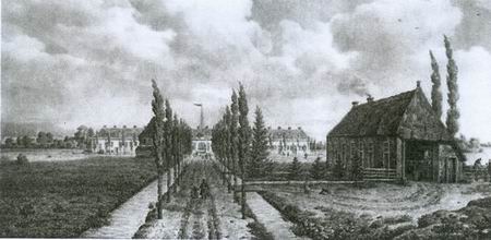 Resize_of_pauperparadijs