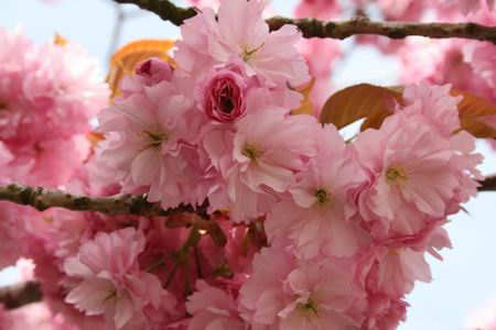 Resize of 20100429_9999_1